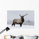 An elk standing in a field of snow with frozen trees in the background Wall Mural