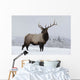 An elk standing in a field of snow with frozen trees in the background Wall Mural