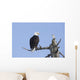 An eagle up on the top of a dead tree against a blue sky Wall Mural