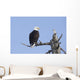 An eagle up on the top of a dead tree against a blue sky Wall Mural