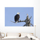 An eagle up on the top of a dead tree against a blue sky Wall Mural