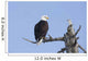 An eagle up on the top of a dead tree against a blue sky Wall Mural