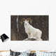 Bighorn Sheep standing on a snowy rock at the edge of a forest Wall Mural