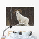 Bighorn Sheep standing on a snowy rock at the edge of a forest Wall Mural