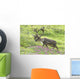 Adult male Caribou on hillside with wildflowers in the foreground Wall Mural