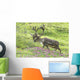 Adult male Caribou on hillside with wildflowers in the foreground Wall Mural