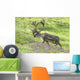 Adult male Caribou on hillside with wildflowers in the foreground Wall Mural