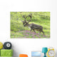 Adult male Caribou on hillside with wildflowers in the foreground Wall Mural