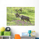 Adult male Caribou on hillside with wildflowers in the foreground Wall Mural