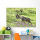 Adult male Caribou on hillside with wildflowers in the foreground Wall Mural