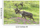 Adult male Caribou on hillside with wildflowers in the foreground Wall Mural