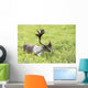 Adult male Caribou foraging amongst willow brush, Alaska Wall Mural