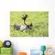 Adult male Caribou foraging amongst willow brush, Alaska Wall Mural