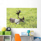 Adult male Caribou foraging amongst willow brush, Alaska Wall Mural