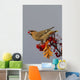 Bohemian Waxwing perches to eat Wall Mural