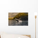 Breaching Humpback whale in Prince William Sound Wall Mural