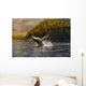 Breaching Humpback whale in Prince William Sound Wall Mural