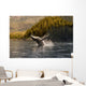 Breaching Humpback whale in Prince William Sound Wall Mural