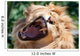 Angry Roaring Lion Wall Mural