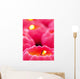 Pink Candles