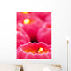 Pink Candles