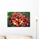 A bucket of ripe Ranier Cherries are freshly picked in the Okanagan Wall Mural