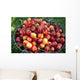 A bucket of ripe Ranier Cherries are freshly picked in the Okanagan Wall Mural
