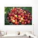 A bucket of ripe Ranier Cherries are freshly picked in the Okanagan Wall Mural