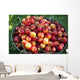 A bucket of ripe Ranier Cherries are freshly picked in the Okanagan Wall Mural