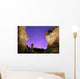 Light painting on monolith and star trails Wall Mural