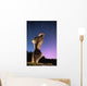 Light painting on monolith and star trails Wall Mural