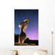 Light painting on monolith and star trails Wall Mural