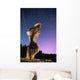 Light painting on monolith and star trails Wall Mural