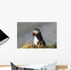 Atlantic Puffin at Ile aux Perroquets Wall Mural