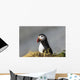 Atlantic Puffin at Ile aux Perroquets Wall Mural