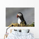 Atlantic Puffin at Ile aux Perroquets Wall Mural