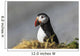 Atlantic Puffin at Ile aux Perroquets Wall Mural