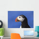 Close up of Atlantic Puffin at Ile aux Perroquets Wall Mural