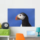 Close up of Atlantic Puffin at Ile aux Perroquets Wall Mural