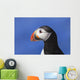 Close up of Atlantic Puffin at Ile aux Perroquets Wall Mural