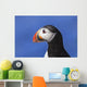 Close up of Atlantic Puffin at Ile aux Perroquets Wall Mural