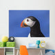 Close up of Atlantic Puffin at Ile aux Perroquets Wall Mural