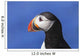 Close up of Atlantic Puffin at Ile aux Perroquets Wall Mural