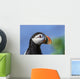 Close up of Atlantic Puffin at Ile aux Perroquets Wall Mural