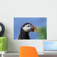Close up of Atlantic Puffin at Ile aux Perroquets Wall Mural