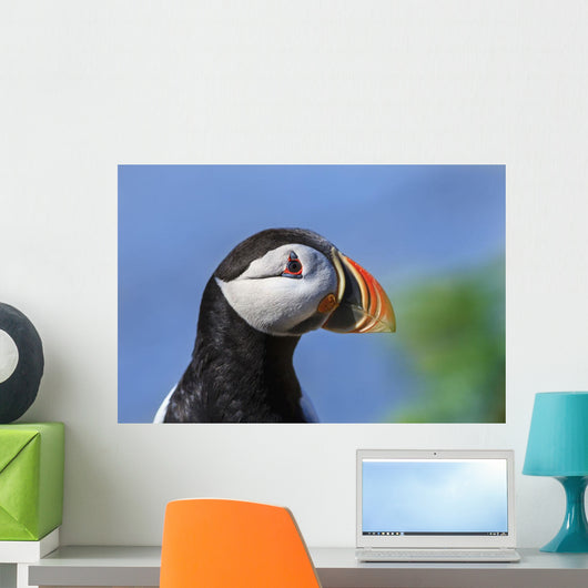 Close up of Atlantic Puffin at Ile aux Perroquets Wall Mural