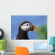 Close up of Atlantic Puffin at Ile aux Perroquets Wall Mural