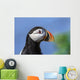 Close up of Atlantic Puffin at Ile aux Perroquets Wall Mural