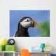 Close up of Atlantic Puffin at Ile aux Perroquets Wall Mural