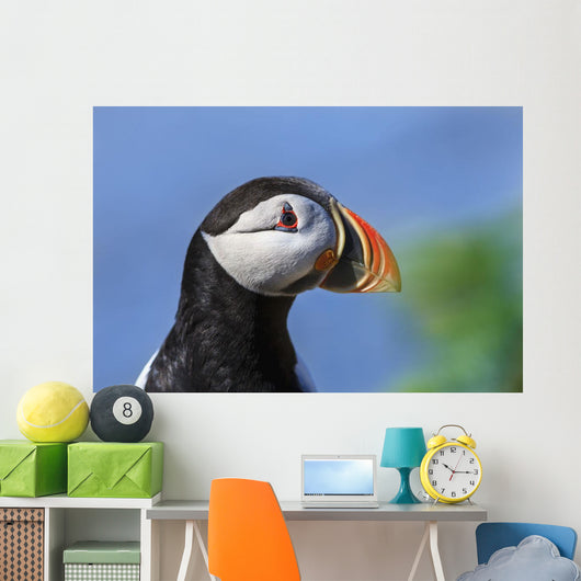 Close up of Atlantic Puffin at Ile aux Perroquets Wall Mural